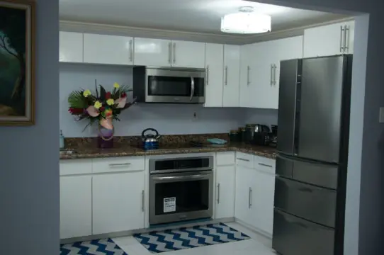 Kitchen with stove, refrigerator and microwave